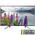 Телевизор Sony KDL-43WF804 LED 43