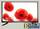Телевизор Telefunken TF-LED24S37T2 LED 23,6