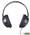 Наушники Philips SHP1900/10 Black